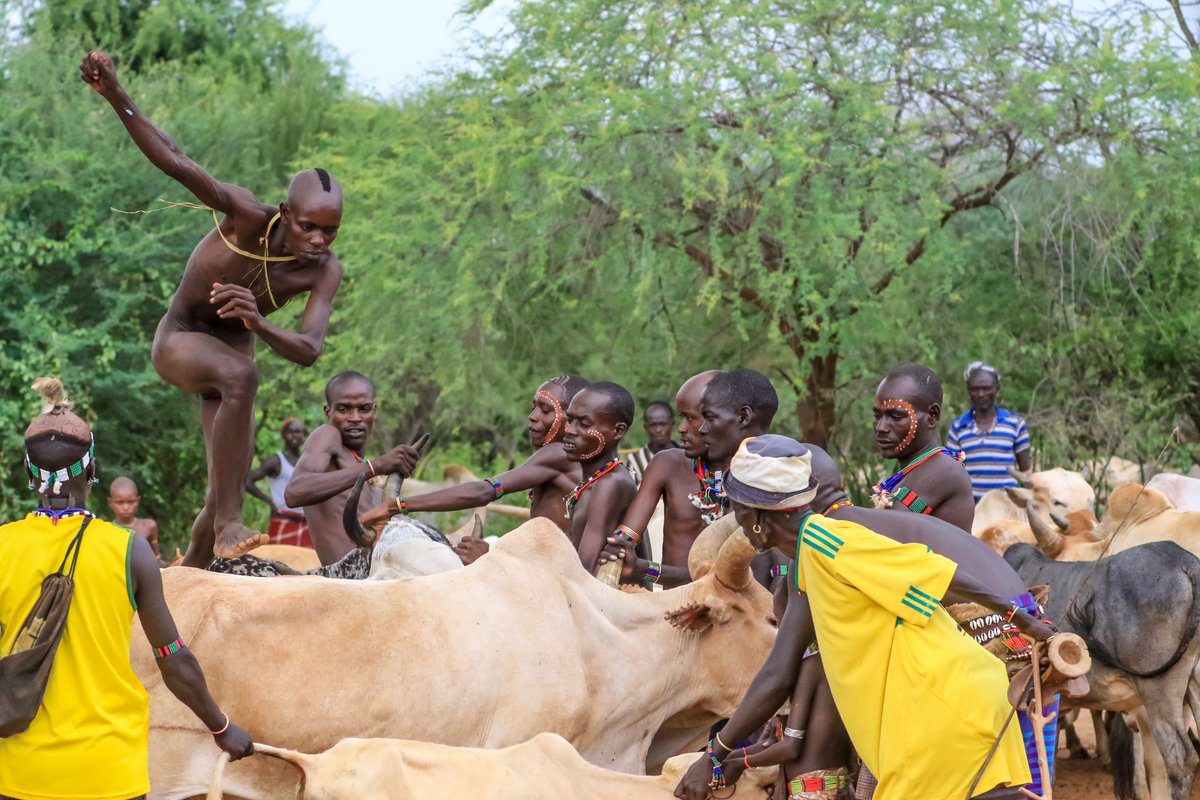 Its May.  Time to #Travel to the #OmoValley to see the #Hamar #Bulljumping ceremony. #TravelAfrica #ttot #Travelblog bit.ly/2bSJ0Ww