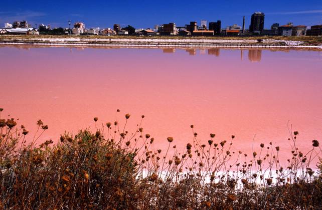EdenPuglia's tweet photo. Rilassatevi.. è arrivato il week end!
#Saline di #MargheritadiSavoia #TerradiBari
#VacanzeInPuglia #EdenPuglia https://t.co/JWFh2aR6UH