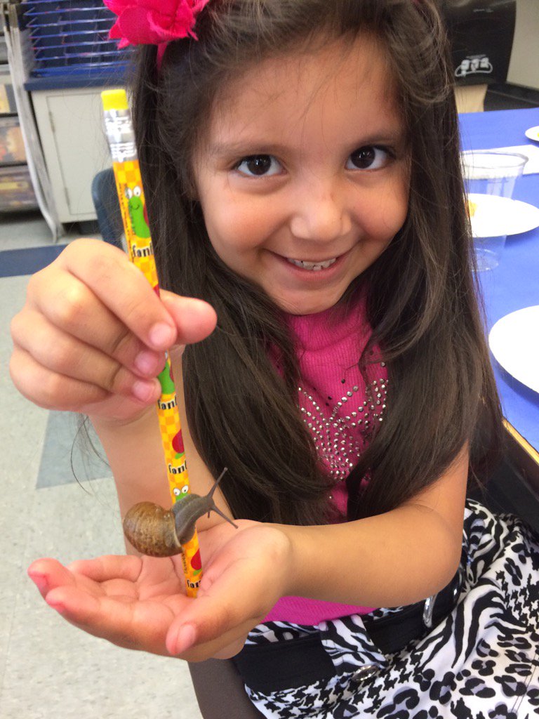 CowashB's tweet photo. Snail Science in TK! https://t.co/3Cz1Dwa0kl