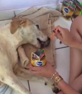 vicioCellbit's tweet image. VAMO AJUDAR GENTE #AjudeMailon

 ln.is/Imqs4 by #giovxnns via @c0nvey