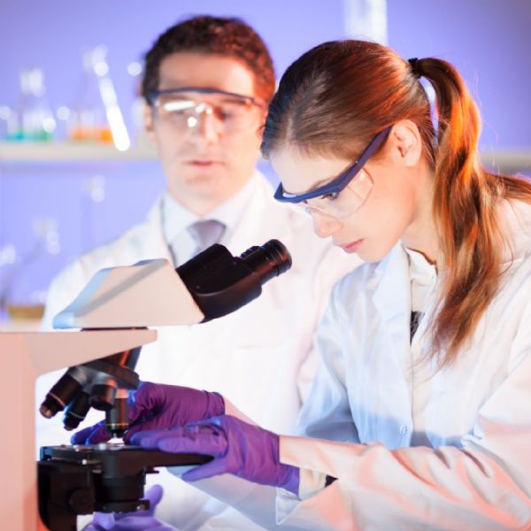 indistale's tweet photo. GENEROSS - Generation of live human bone in laboratory condition for clinical use as autologous bone graft. https://t.co/pVbl26KcMd https://t.co/Vi7Xw5wtfu