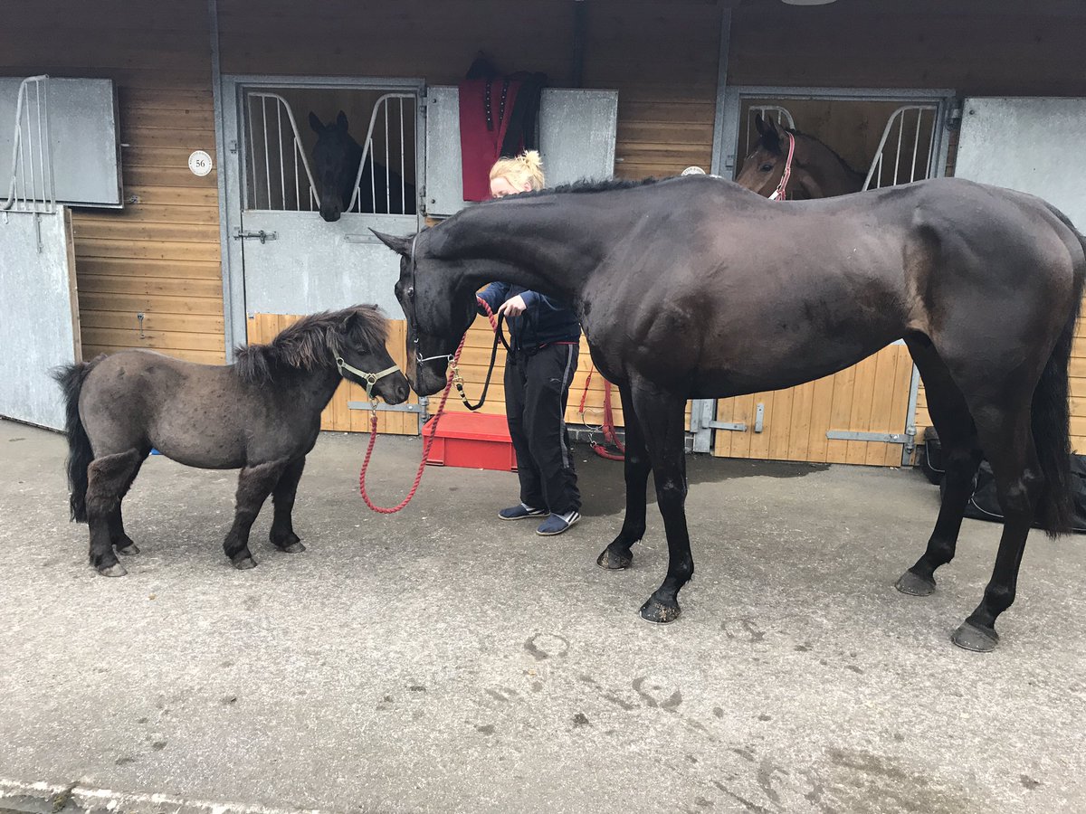 BOOM! Lovely Touch getting a well done kiss after winning well <a href="/FontwellPark/">Fontwell Park</a> well done to all his connections and well done team! #winners