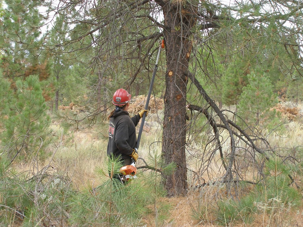 You can help reduce #wildfire risks by removing flammable vegetation directly around homes and reducing the flammability of homes.