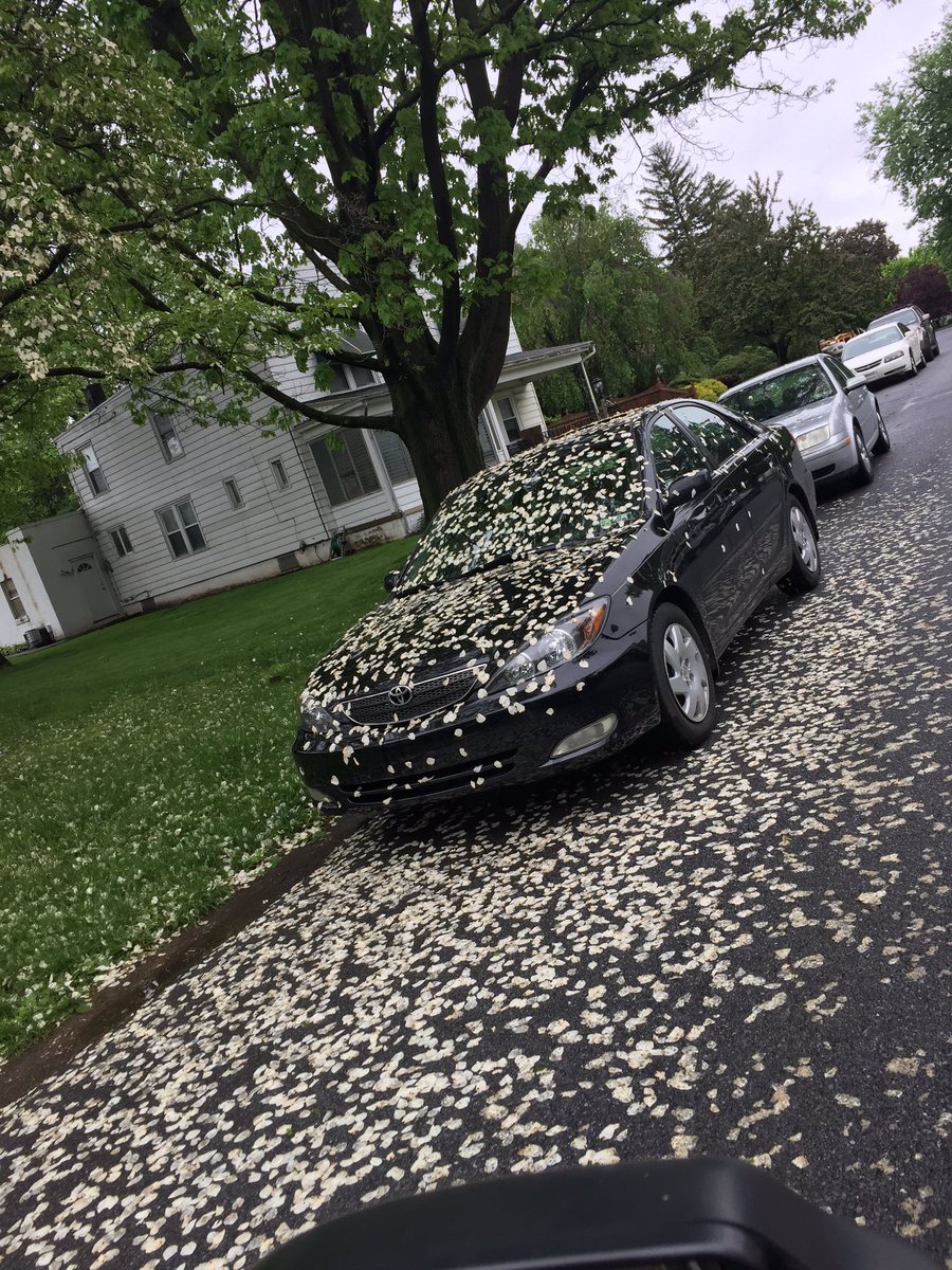 #springtime #notmycar #iknowbetter