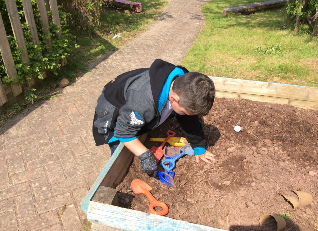 yr2PDCS's tweet photo. Blwyddyn1 looking for Creaduriaid Bach using Welsh vocab #malwoden🐌 #buwchgochgota🐞 #gwenynen🐝 #corryn🕷 @CymraegPDCS https://t.co/yrto1Ixjeb