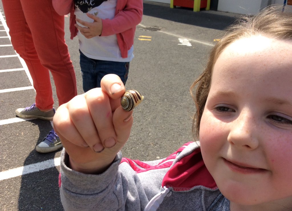 yr2PDCS's tweet photo. Blwyddyn1 looking for Creaduriaid Bach using Welsh vocab #malwoden🐌 #buwchgochgota🐞 #gwenynen🐝 #corryn🕷 @CymraegPDCS https://t.co/yrto1Ixjeb
