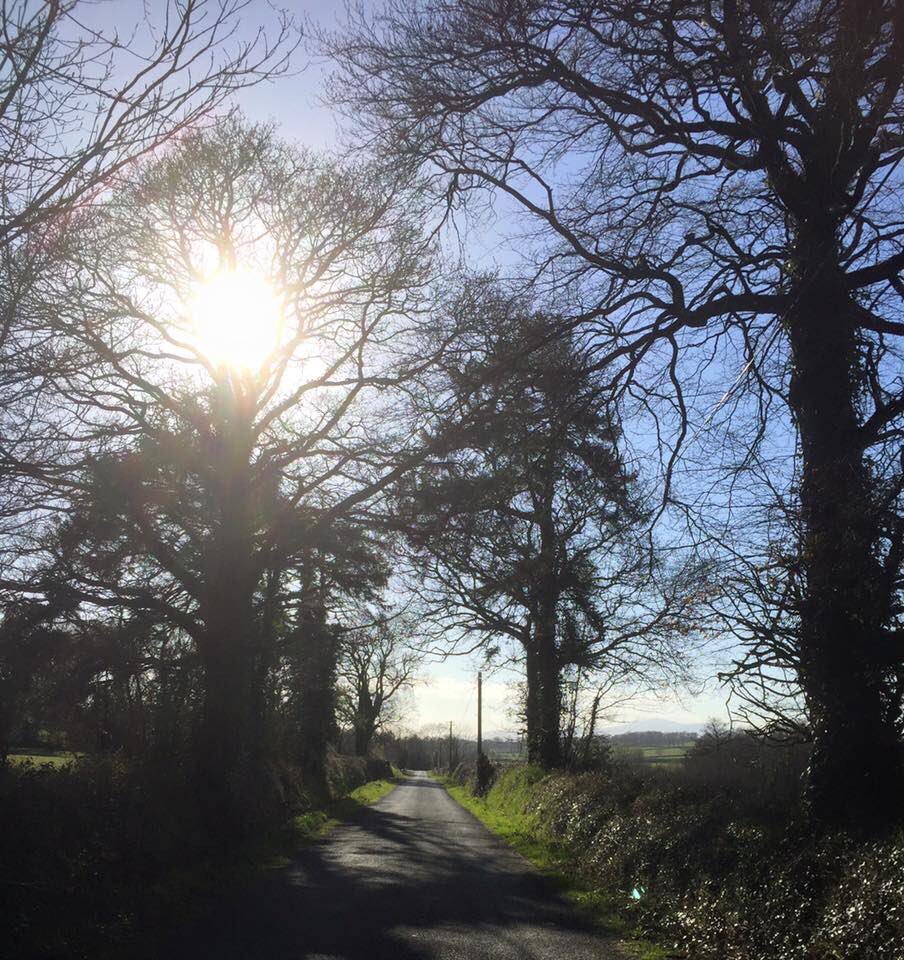 Fearna_Mor's tweet photo. Enjoying the beautiful sunshine and the 22Km of litter free roads we picked as part of #Springclean17 #NW2KC @NationalSpringC @wexfordcoco https://t.co/Hkf3KY9b6Y