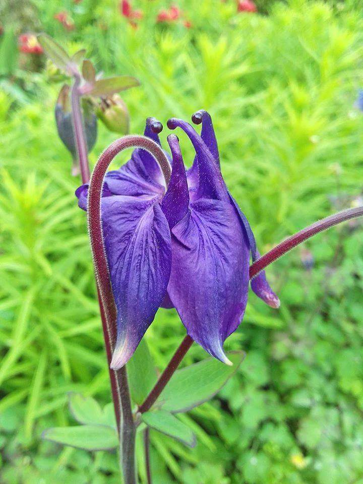 <a href="/m_usmanabbas/">#FanBoy</a> <a href="/shoteck/">Sascha #TɛaʍUռɨɖօS</a> <a href="/seudevan/">Adevanzil Rodrigues</a> <a href="/SalvOasi/">L’Oasi di Salvo</a> <a href="/patrickarrelle/">patrickarrelle</a> <a href="/promostking/">PROMOSTKING</a> <a href="/M4_VED/">Mahendra(Buddhay-sanatanayप्रचारक संस्कृतम्)</a> @PapaPorter1 <a href="/paparcura/">Paolo🌹#PD #Avanti🌹</a> <a href="/ajscience/">AJSCIENCE</a> <a href="/swydersk/">Deb #TmPetaL🌹#Resist💙 #NeverTrump Enjoy the ride</a> <a href="/Gemini01967/">ALFRED #TFR #TFBJP</a>