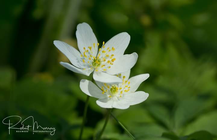 <a href="/Team_Stallion/">Team Stallion Racing</a> <a href="/eng30june/">the engineer</a> @Hybrid_cyborg <a href="/MiluRamalho/">Milu Ramalho</a> @LukaLuzelia <a href="/italianostyle7/">italiano style</a> <a href="/wesellmoney/">Hal lumley WHLSysTem</a> <a href="/theta_compass/">HAL2024</a> <a href="/eng30june/">the engineer</a> <a href="/ANCIENT_MUSIC/">Ancient Rome</a>