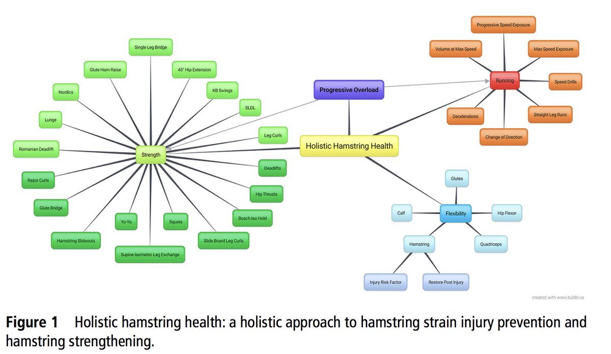 PascalEdouard42's tweet photo. Holistic hamstring health: not just the Nordic hamstring exercise! https://t.co/k2Z8yOJ9VE