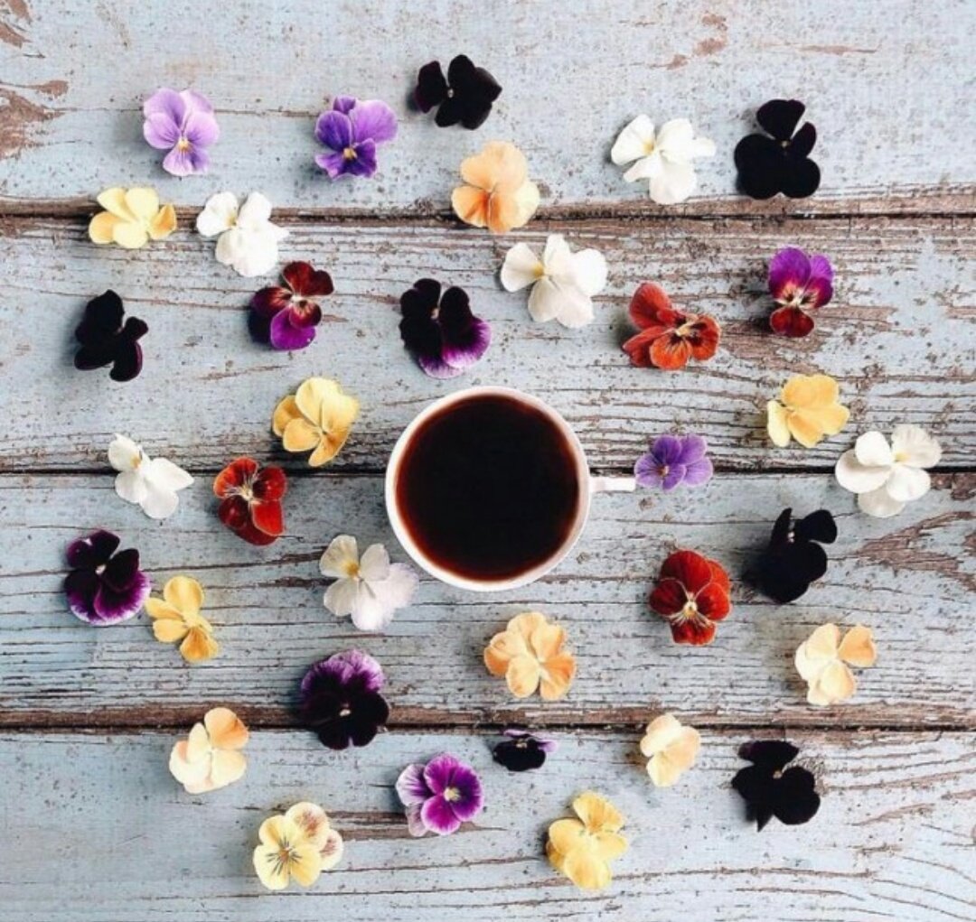 @LudMarx1 <a href="/ganseyman/">😎m.c squirrel #🐿️🐿️🐿️</a> <a href="/AfterEight13/">⭐Absolutely⭐</a> <a href="/CVNfollowtrick/">projeto follow trick</a> <a href="/KVajpayaee/">KATYAYAN VAJPAYEE</a> <a href="/mecenas229/">❤️ Stanisław 💞 🙋‍♂️</a> <a href="/Top237cat/">Topcat</a> <a href="/shoteck/">Sascha #TɛaʍUռɨɖօS</a> <a href="/faysalyouness/">Faysal younis</a> <a href="/SiscoMGWV/">🔶️Sisco #1DDrive 110k🔶️</a> <a href="/Blondy_Oficial/">BLONDY AK OFICIAL</a> #FF.  @LudMarx1 🔝💛🔝
👋😉🍭🍻🍭