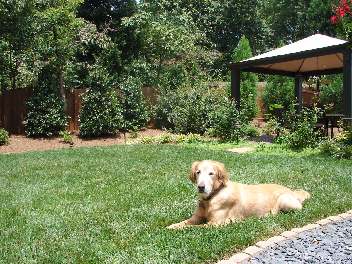 SimplyBuckhead's tweet photo. #Dogscape your yard | Plan an outdoor area both you and your pet will love. Story: Maggie Haynes
Photos: Bob Zumwalt
https://t.co/An1qxgoSXD https://t.co/2JcYx0F0GG