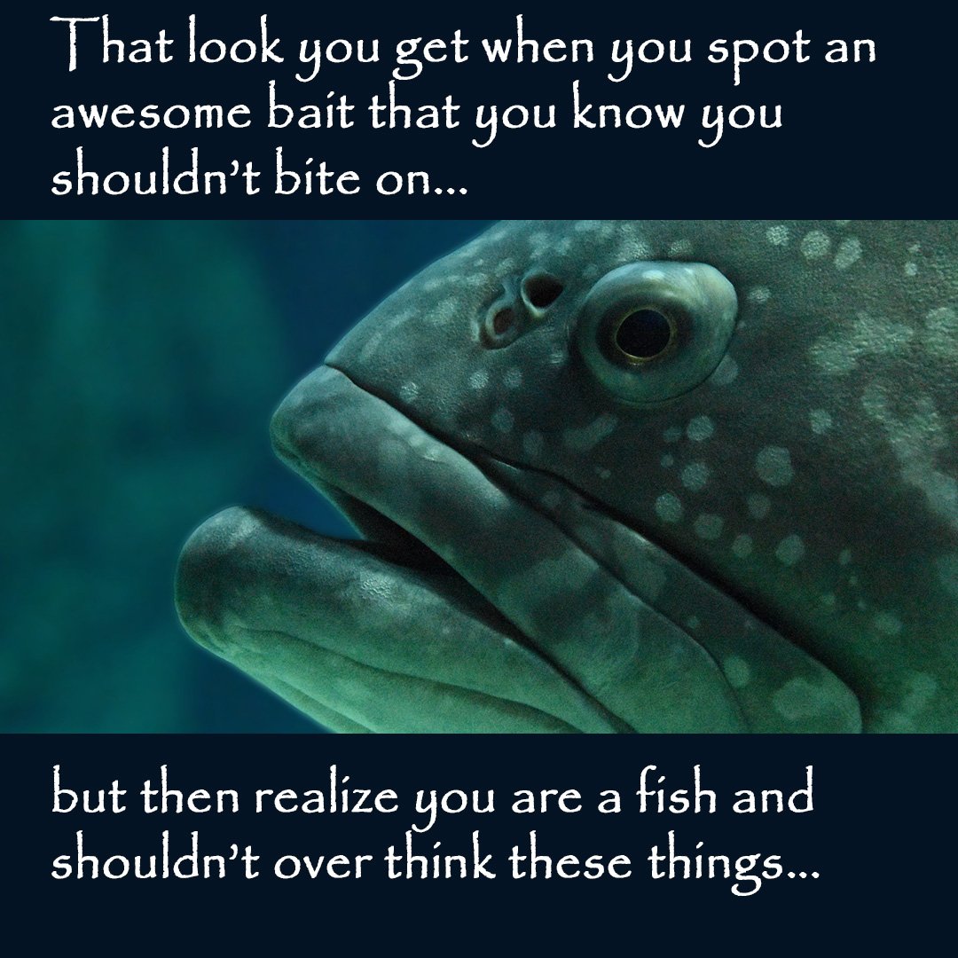 MonsterFishing's tweet photo. Fish thoughts...
#monsterfishingtackle #bassfishing #fishthoughts https://t.co/xHwdzbDdbB