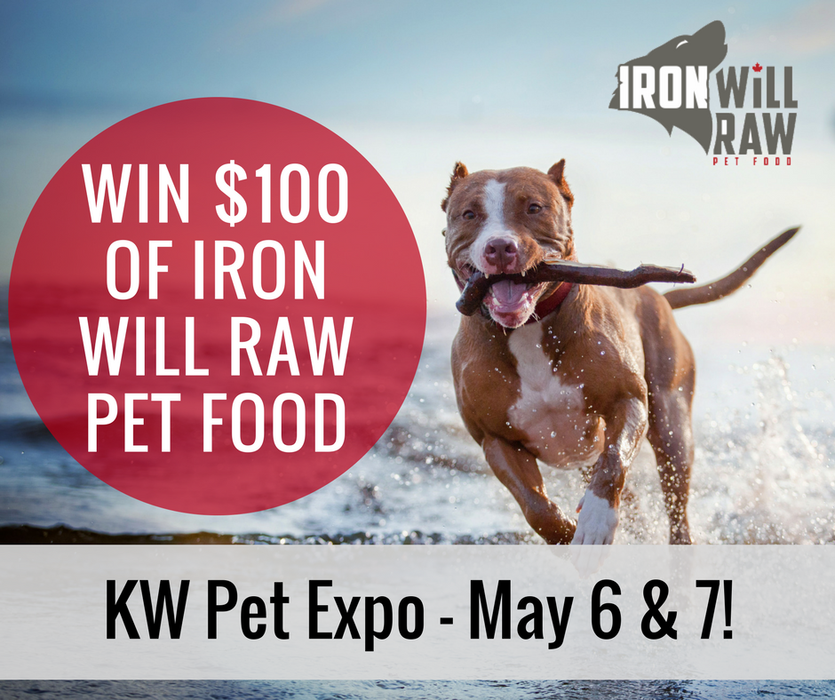 ironwillraw's tweet image. We'll be at the @KWPetExpo this Saturday &amp;amp; Sunday!

Stop by the Iron Will booth for your chance to win $100 with of Iron Will Raw pet food!