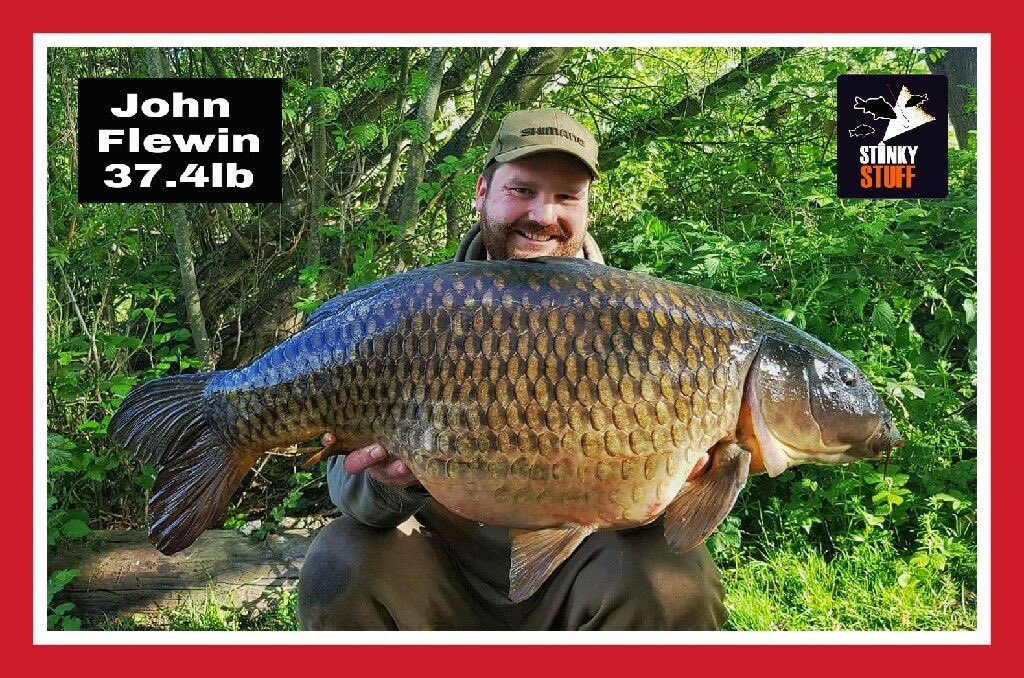 John Flewin has caught himself this lump of a Common Carp, look at the beautiful colours on this one. #StinkyStuff  Vanilla Peanut Cream .
