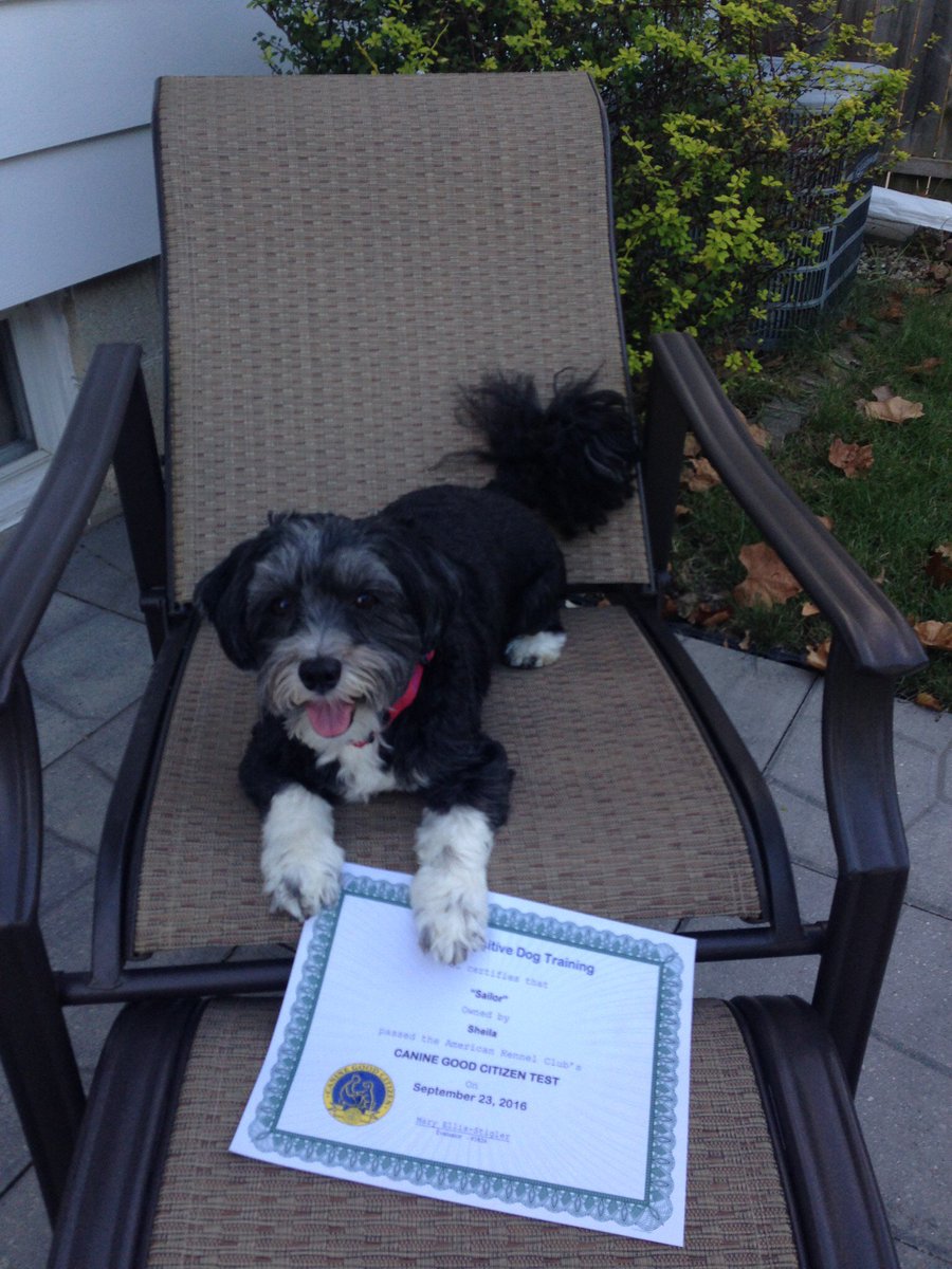 Think Pawsitive tweet media