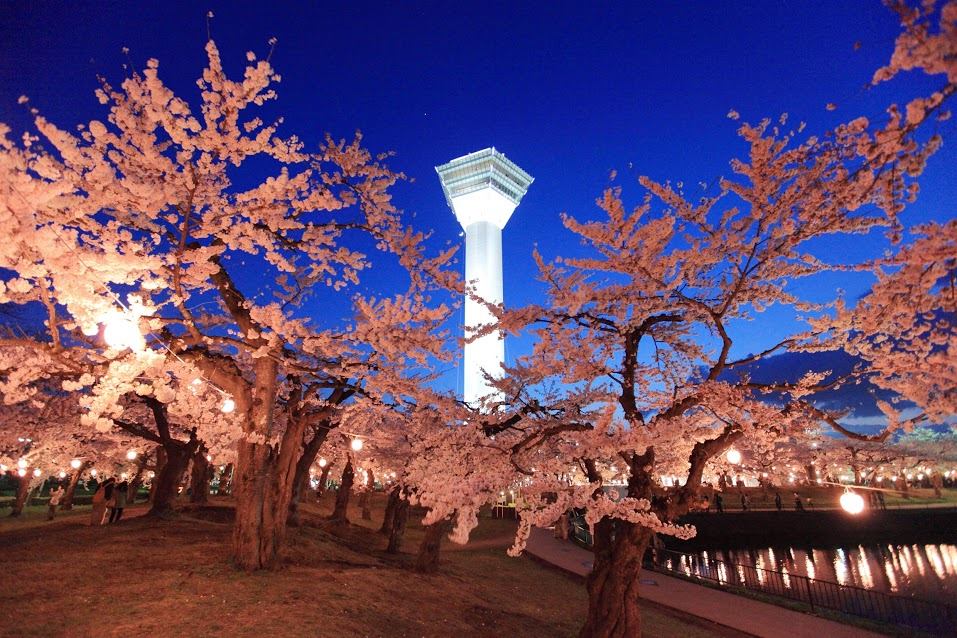 ট ইট র 北海道lovers 五稜郭公園の桜 花見の名所である五稜郭公園では 星形の城郭一面において約1600本の桜が咲き誇り 夜間には ライトアップもされますので 花見の季節にはお勧めです 五稜郭 函館 花見 T Co Vpgprrqjl4 ট ইট র 北海道lovers 五稜郭公園の桜 花見の名所である五稜郭公園では 星形の城郭一面において約1600本の桜が咲き誇り 夜間には ライトアップもされますので 花見の季節にはお勧めです 五稜郭 函館 花見 T Co Vpgprrqjl4