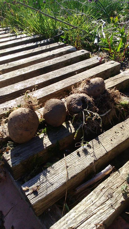 yieldsoftime tweet picture