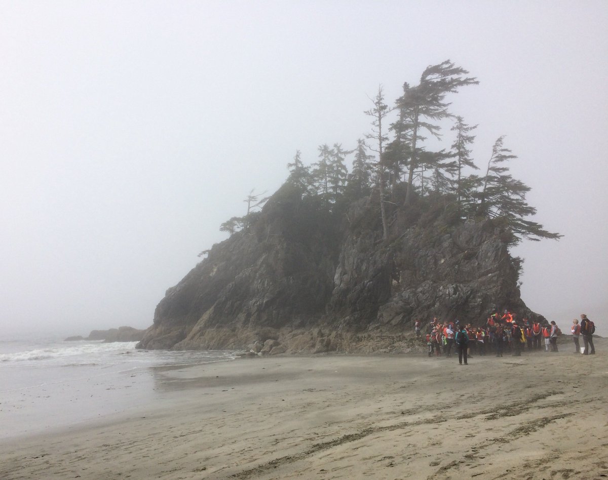 Bamfield MSC tweet media