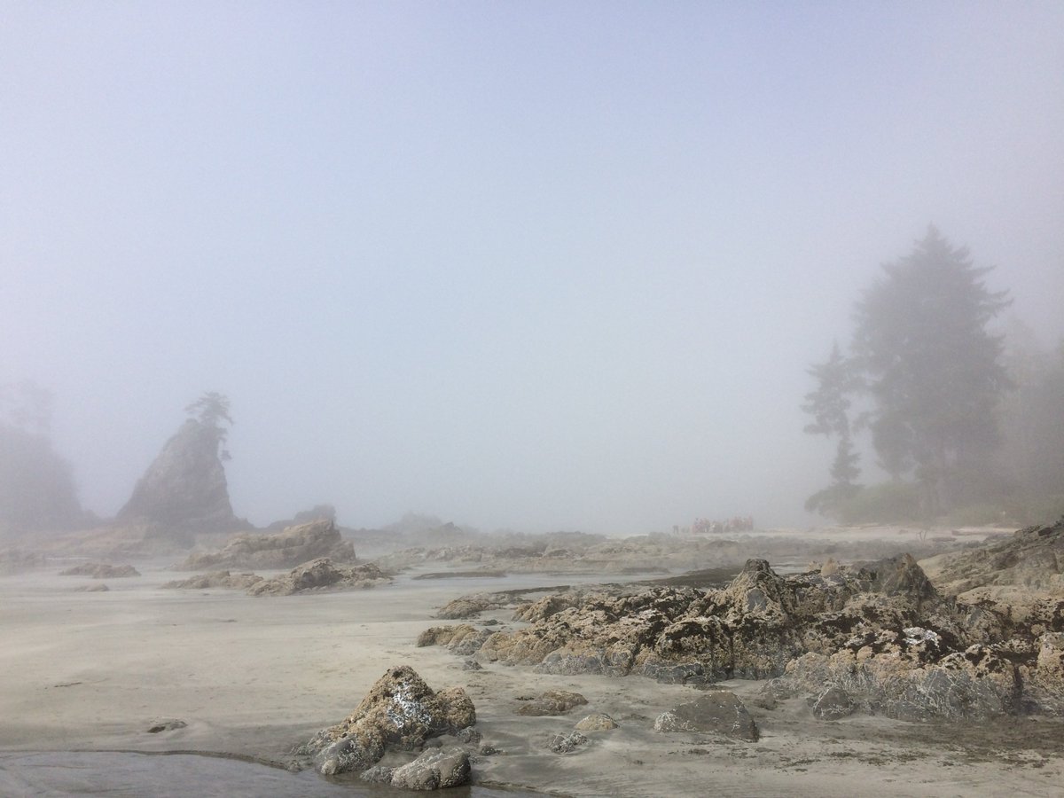 Bamfield MSC tweet media