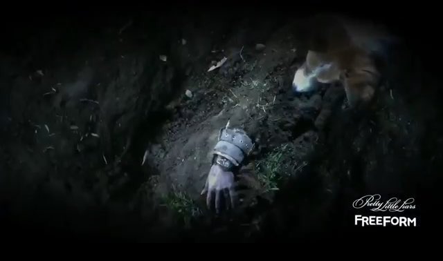 Pll_fandom_'s tweet photo. Who else is excited to find out who killed Mrs DiLaurentis #PrettyLittleLiars https://t.co/r9EgLhPS7G