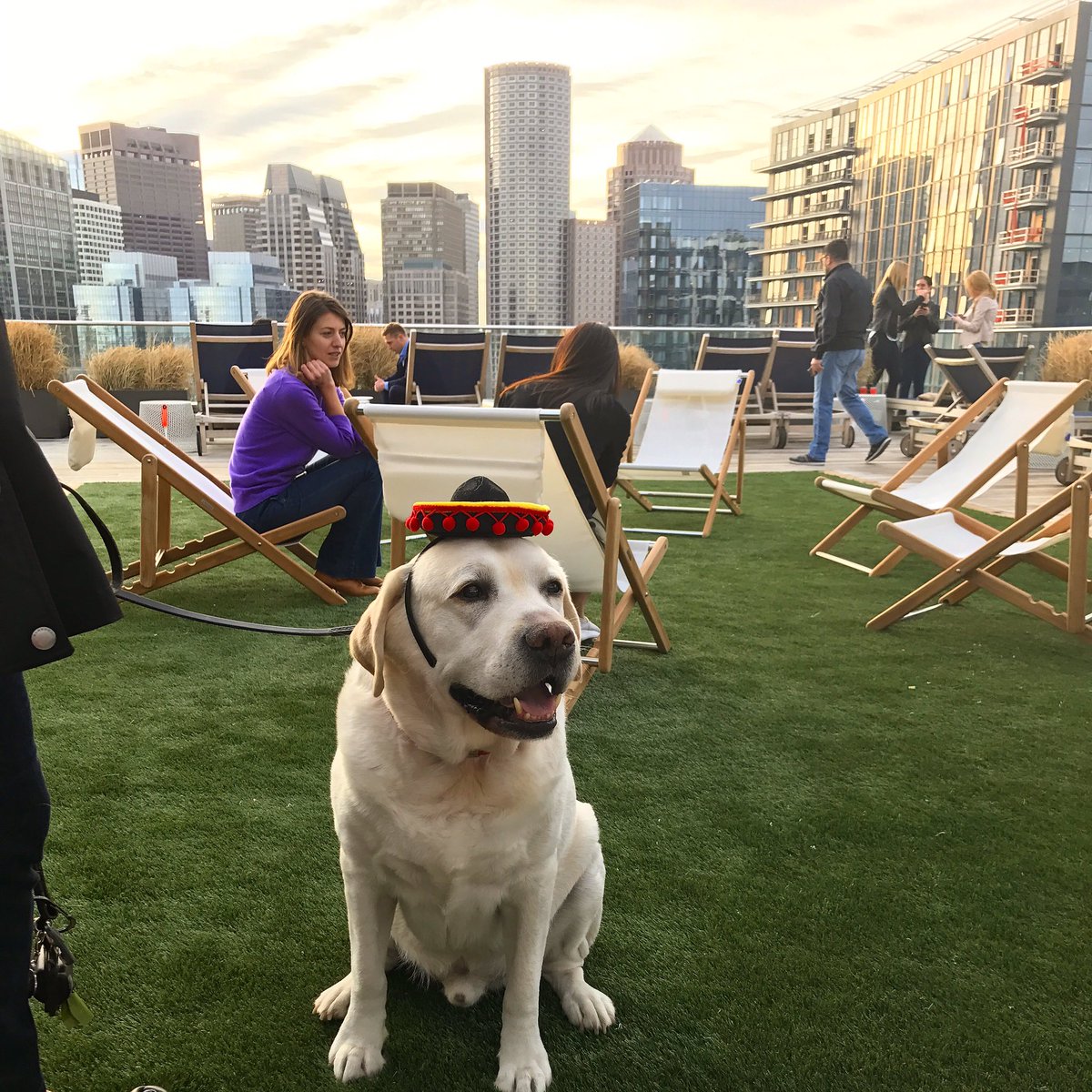 WMSPapts's tweet image. Hobey wishes you all a Happy Cinco de Mayo! Cheers @hungry_hobey 

#CincoDeMayo #DogsOfWatermarkSeaport #RoofDeck #MargaritaTime