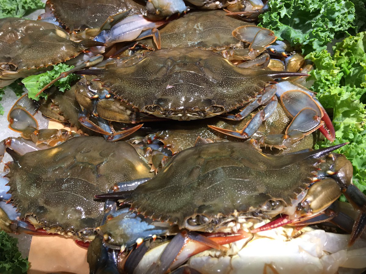 StewLeonards's tweet photo. #freshalert for #seafood fans: #Yonkers and #Danbury have fresh #softshellcrabs just $4.99 ea while supplies last. https://t.co/oyXuW7xUt6