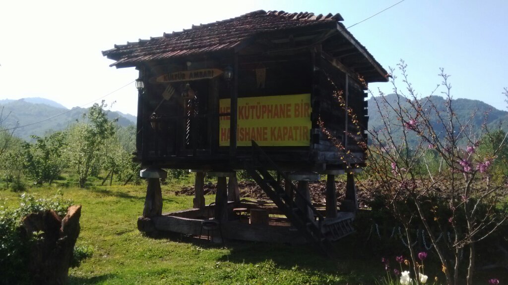denizyildirim79's tweet image. Hayati abi fındıklığın ortasındaki seranderi (ambar) kütüphaneye çevirmiş. 6bin kitapla gönüllü halk hizmeti veriyor