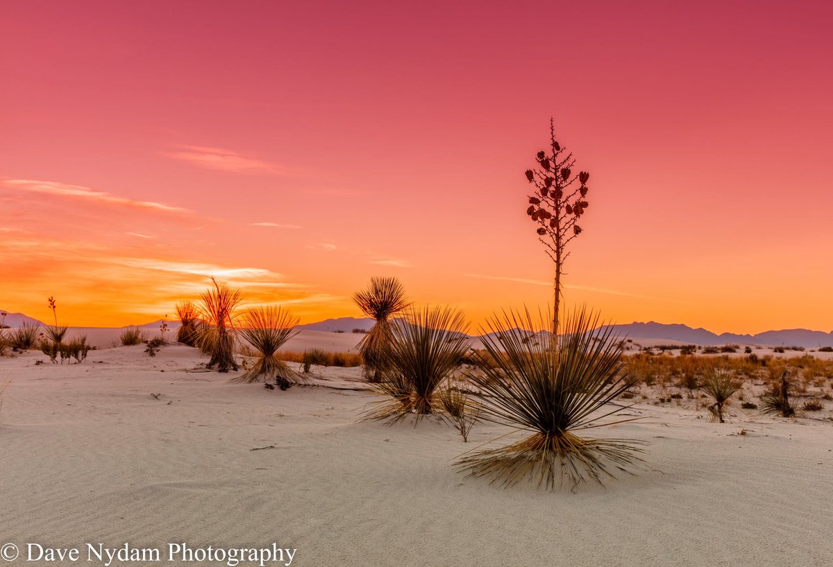 Photo Of The Week: “White Sunset” by <a href="/DaveNydamPhoto/">DaveNydamPhotography</a>.
Learn more: davenydam.com #outdoorphotography #photoart