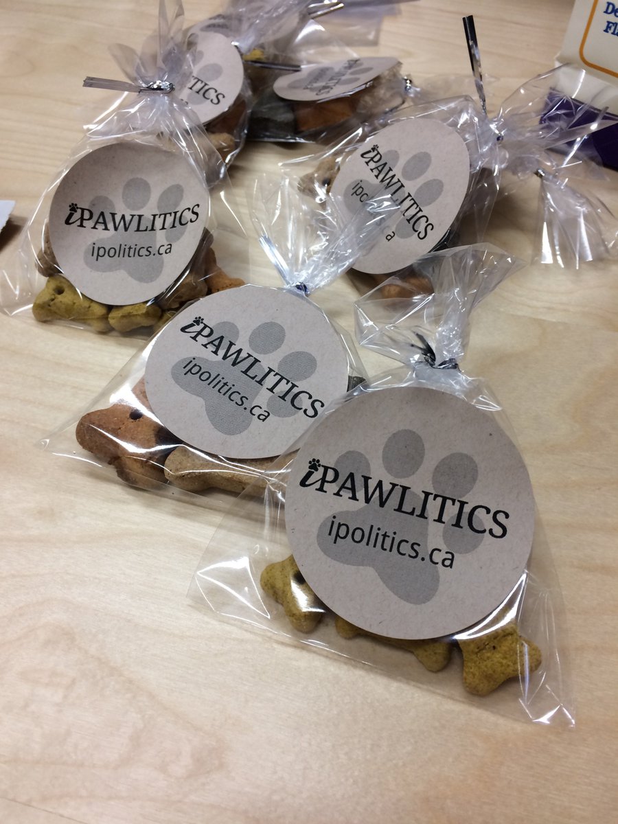 alpheusgroup's tweet photo. Come say hi &amp; get a special treat for your pup at the @ipoliticsca table this Sunday at the #BywardBarket #ottcity #ottdogs 🐶 https://t.co/GcVR4POfPc