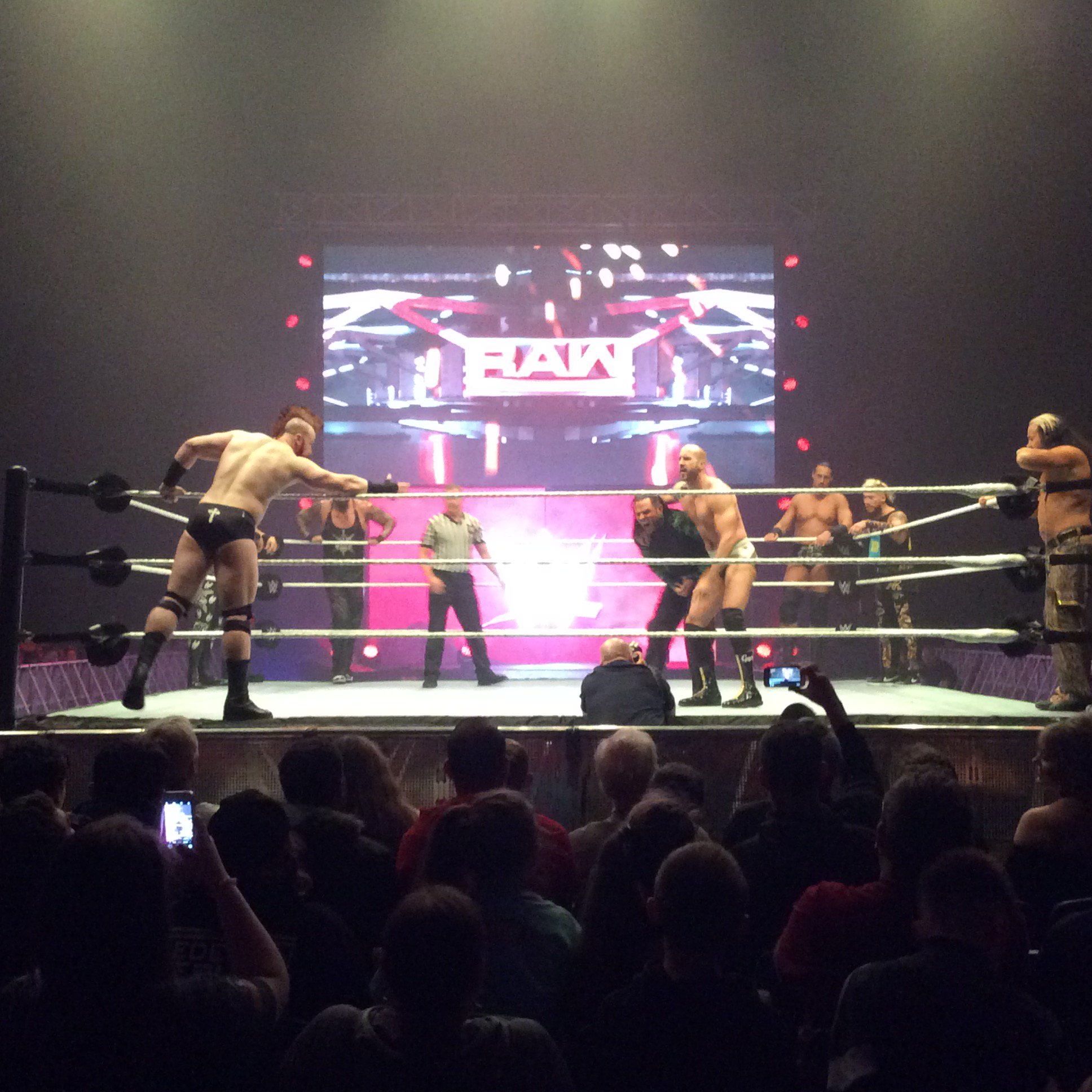 wrestling ring smyths