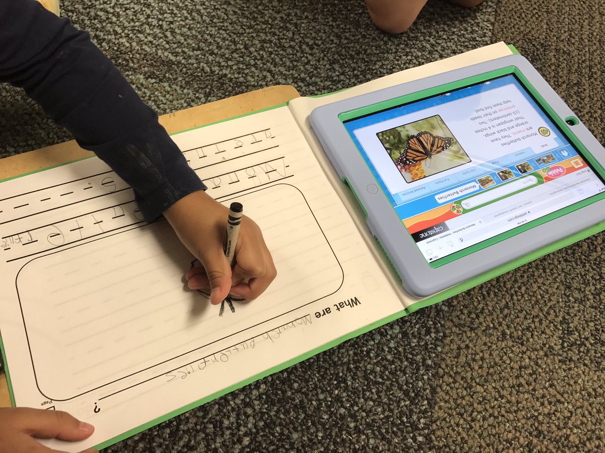 eacharbonneau's tweet photo. Butterflies, Ants and Black Bears OH MY! A busy week researching and creating in grades K-2!  @BrooksMuseumsES https://t.co/h0apPqqDvh