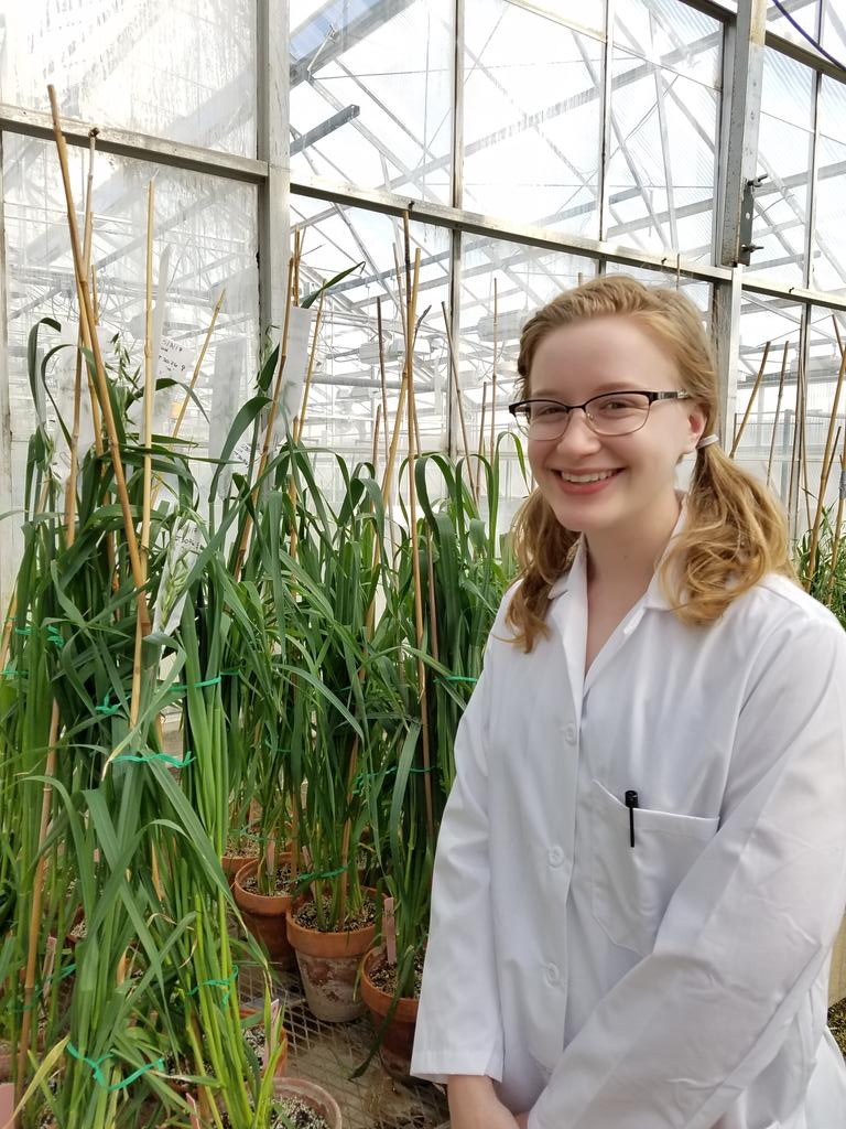 Figueroa_MM's tweet photo. Meet Eva Henningsen who received an UROP award fall 2017 #oatrust #resistance #proudmentor @UMNPlantPath https://t.co/Y2kMXGYSw6