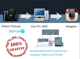 Mypushup tweet media