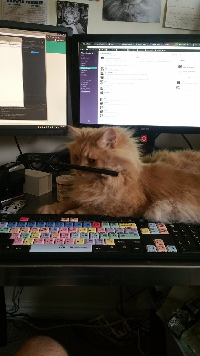 Kevin K tweet media