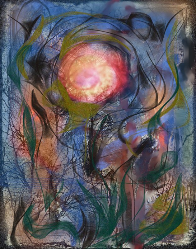 RascalCrypterio's tweet photo. The soul in you..... https://t.co/XZ0CSSiVhy