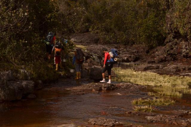 Venelands's tweet photo. #Chimanta #Trek #RioInca #Selva #jungle #Canaima #venelands #venezuela #acopan #akopan https://t.co/krOfuF1Ki7