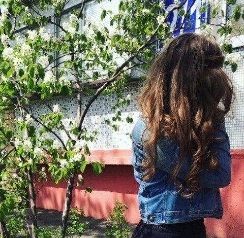 rystianka's tweet photo. Пусть сердцу вечно снится май🌸 https://t.co/H1cvam8857