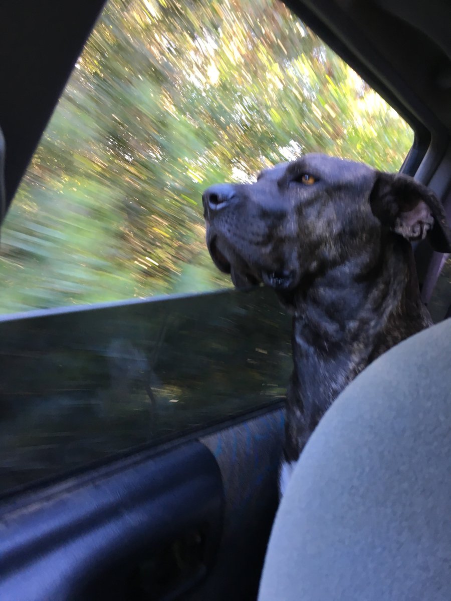 when mercury goes direct and you realize your problem is still white cis hetero patriarchy