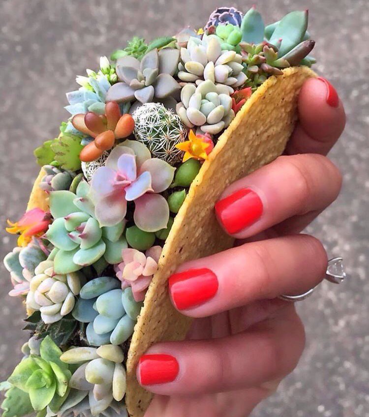 bdnplatt's tweet image. Happy Cinco. #myfavoritethings