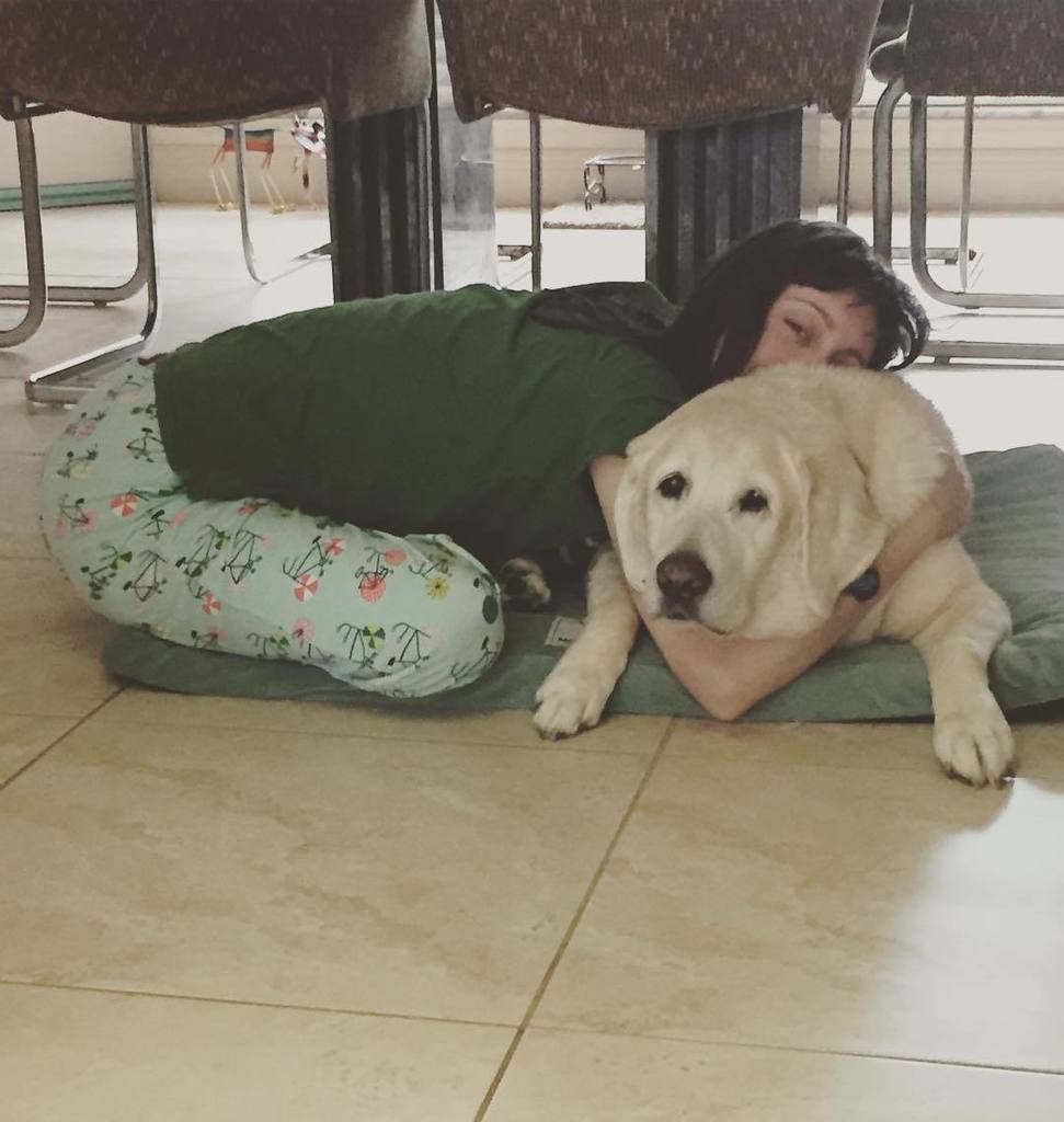joditheyogi's tweet photo. Casey Doodle and me! 15 years old and still cuddling. A geriatric yellow lab with the heart of a puppy. I luh you … https://t.co/lT7qAZE8vH https://t.co/1qwHAiS1m9