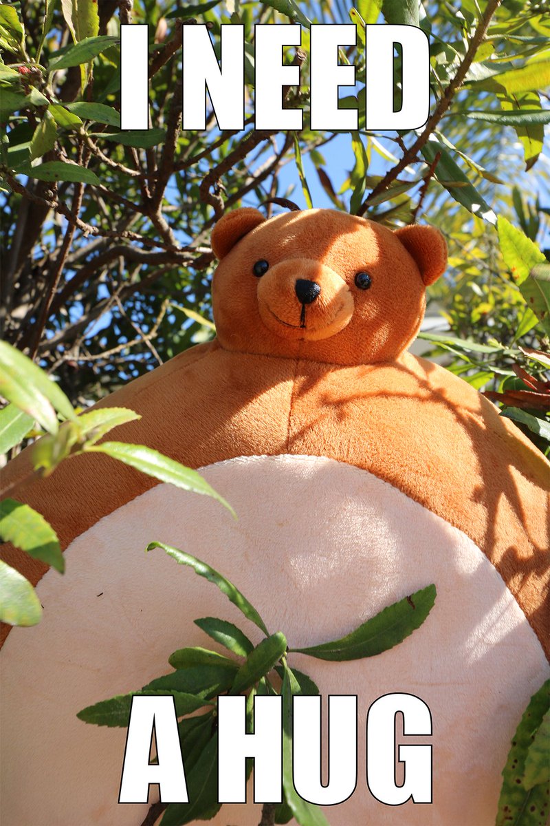 tiny headed bear stuffed animal