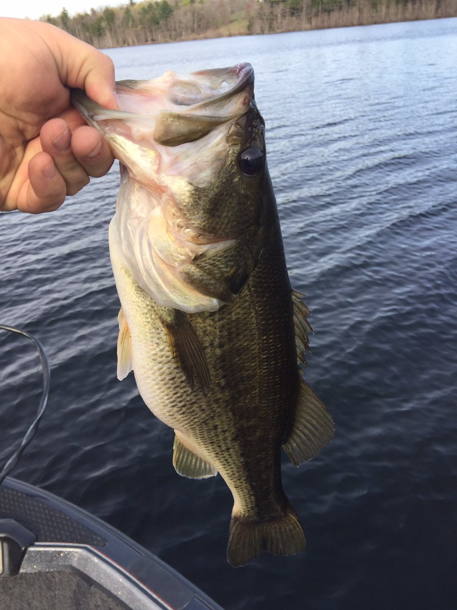 Jeff Hesketh tweet media