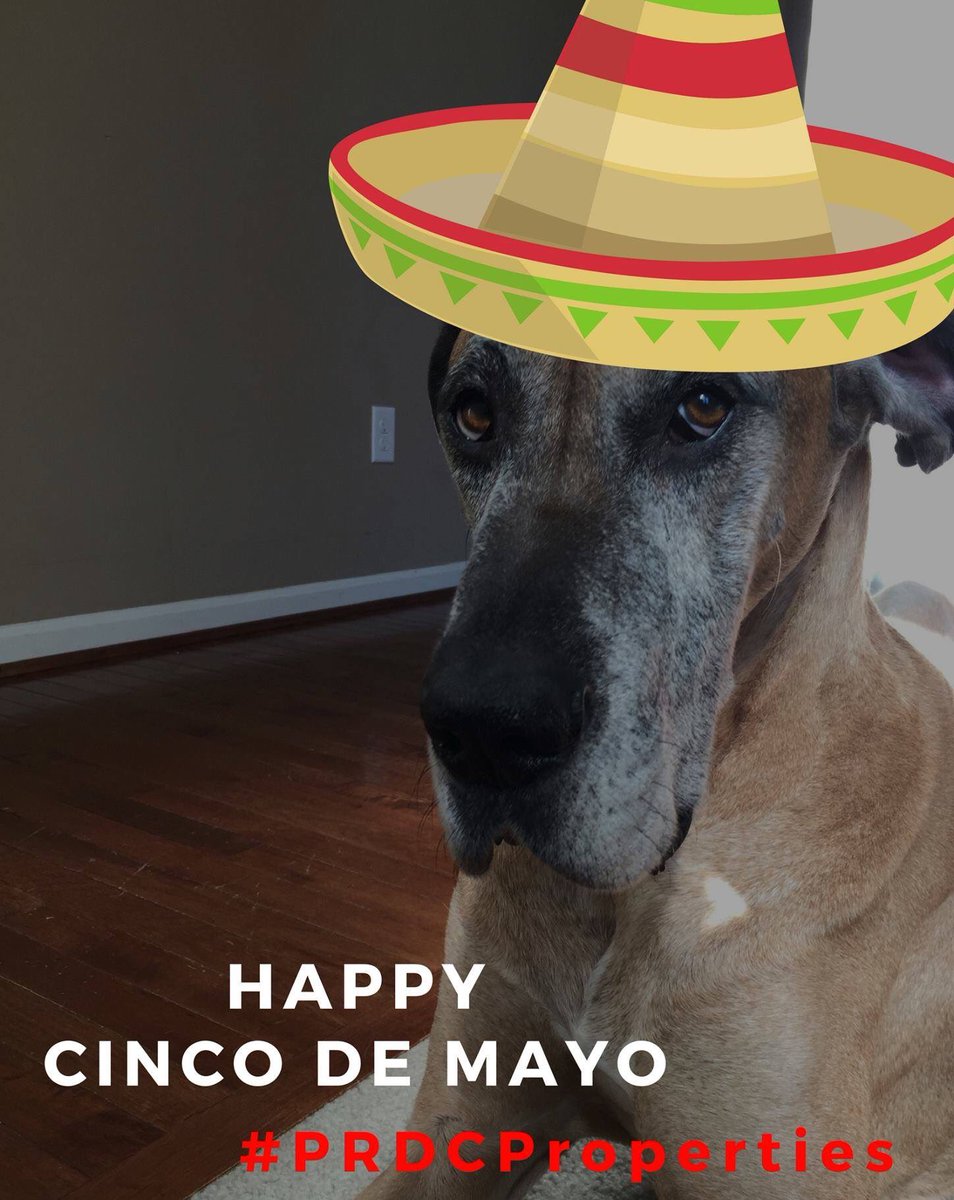 PRDCProperties's tweet photo. Happy #CincodeMayo! #PRDCproperties #PetFriendly #phillyrentals #apartments
https://t.co/awSiG8tk5k https://t.co/j5bx3sZXiM