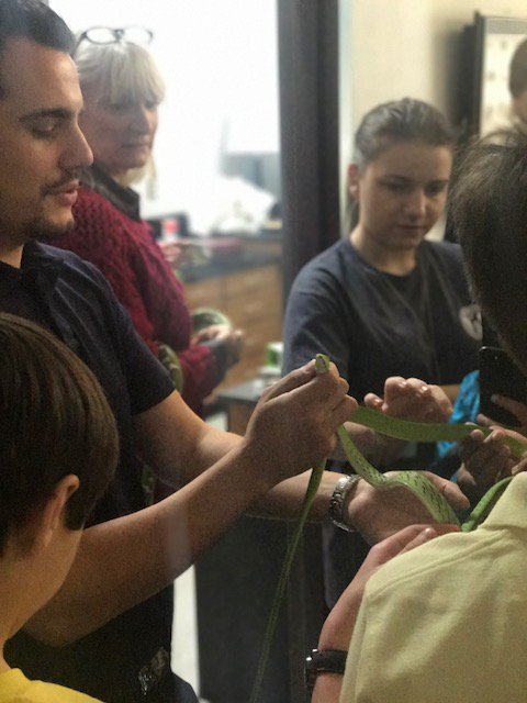 stratfordeagles's tweet photo. Mr. Nicodemo brought a few surprise guests to school today. #stratfordscience https://t.co/Ei8Dt1m8Lq