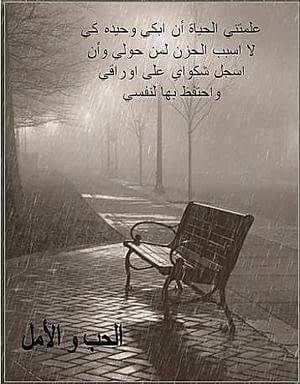 EZuoad's tweet image. 