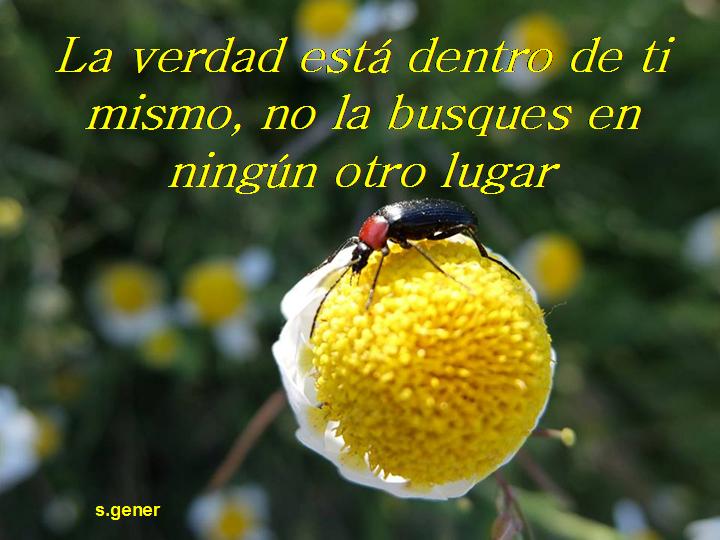 Reikiytu's tweet photo. #desarrollopersonal #Asturias #Leon #Galicia #Cantabria #paisvasco #Zamora #Valladolid #Baleares #Mallorca #ibiza #Valencia #Alicante https://t.co/P6B0PVVDnP