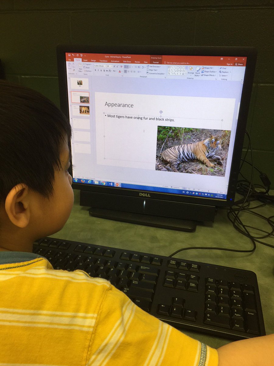 jstewin's tweet photo. @Teaching_w_tech our classroom has been using Microsoft PowerPoint for our animal research projects #grade1 #paperLESS #winnipegsd https://t.co/6GPQbN8P7a