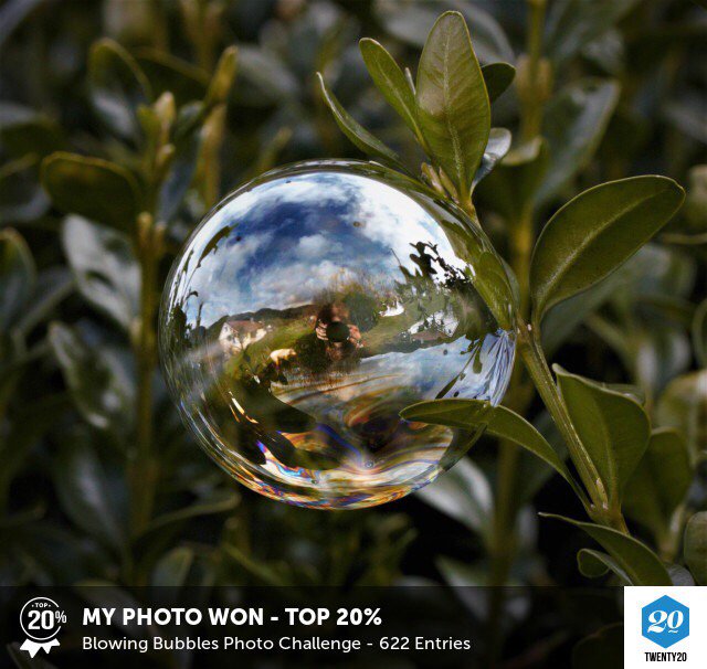 fridlaug's tweet photo. My photo was picked in the Top 20% in the Blowing Bubbles challenge on @twenty20app. https://t.co/yVMhskfFl5 https://t.co/zSX0kV8njY