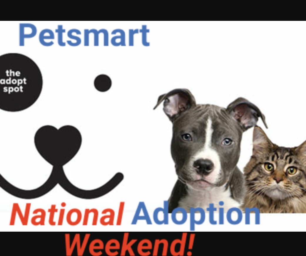Petsmart Lakeline tweet media